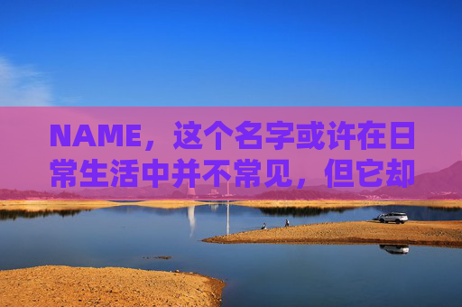 NAME，这个名字或许在日常生活中并不常见，但它却在某些领域里扮演着重要的角色。今天，让我们一起来探索这个名字背后的故事和意义